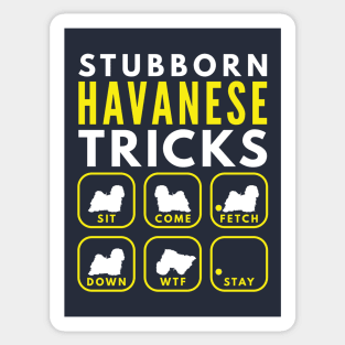 Stubborn Havanese Tricks - Dog Training Sticker